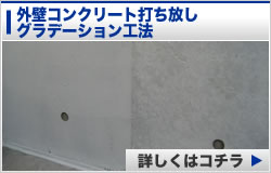 button2_gaiheki
